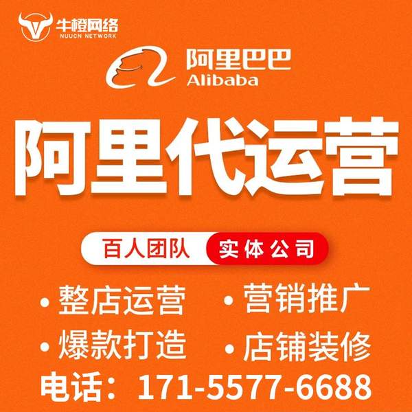 荔浦电商代运营