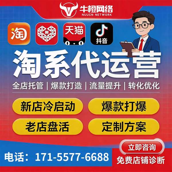 荔浦电商代运营