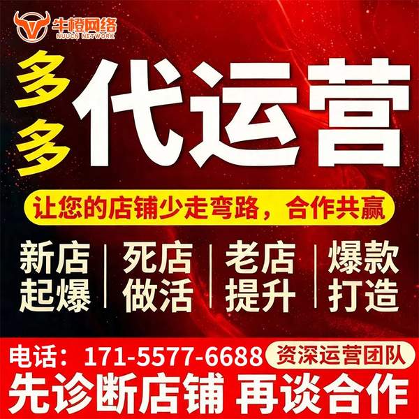 荔浦电商代运营