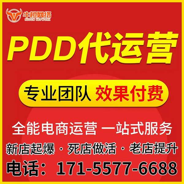 荔浦电商代运营