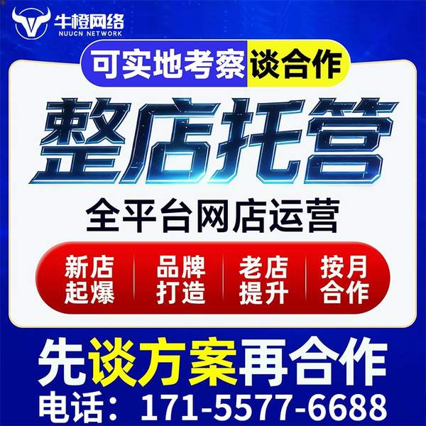 荔浦电商代运营