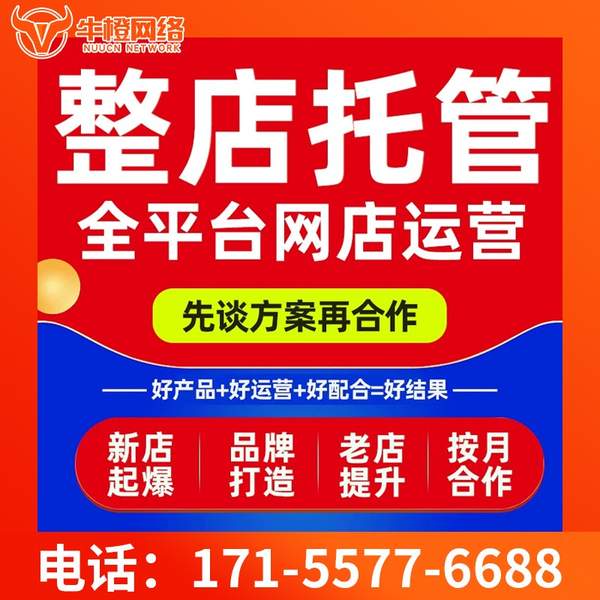荔浦电商代运营