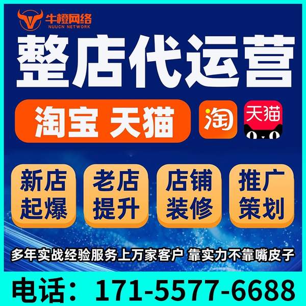 荔浦电商代运营