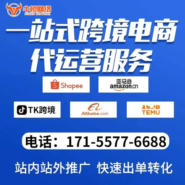 荔浦电商代运营