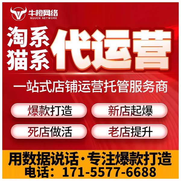 荔浦电商代运营